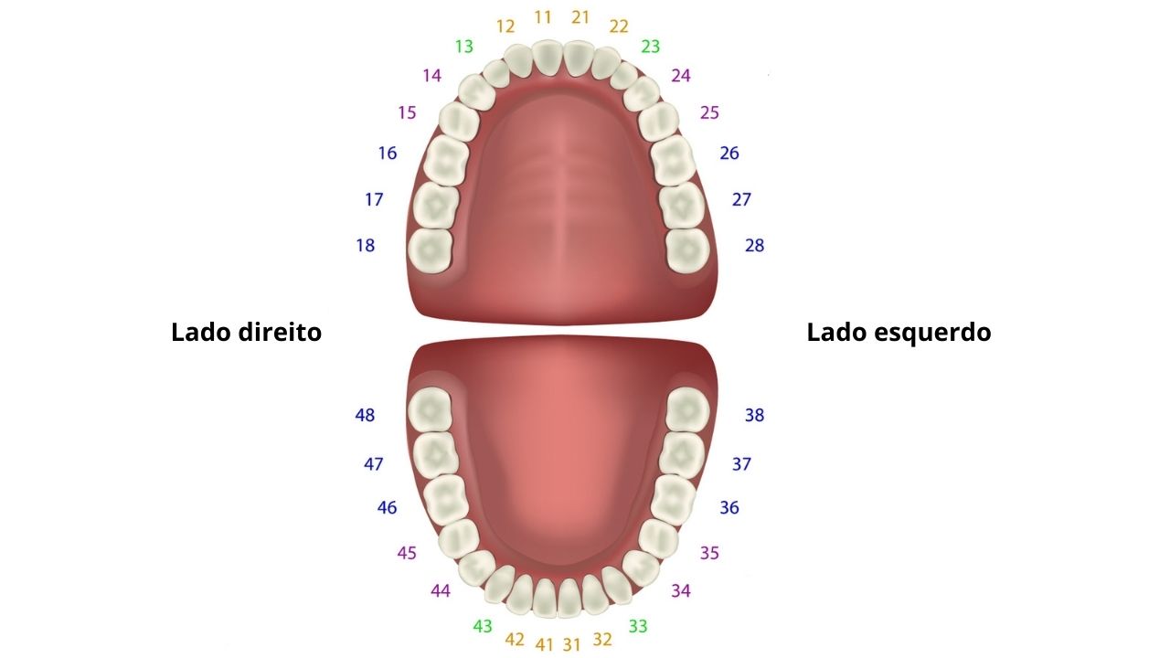 Numeração dos dentes FDI