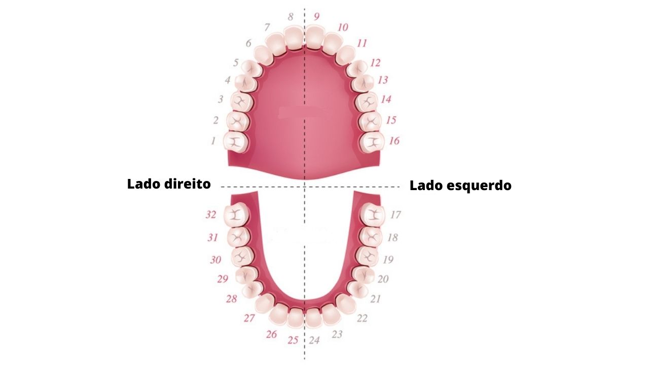 Numeração dos dentes universal